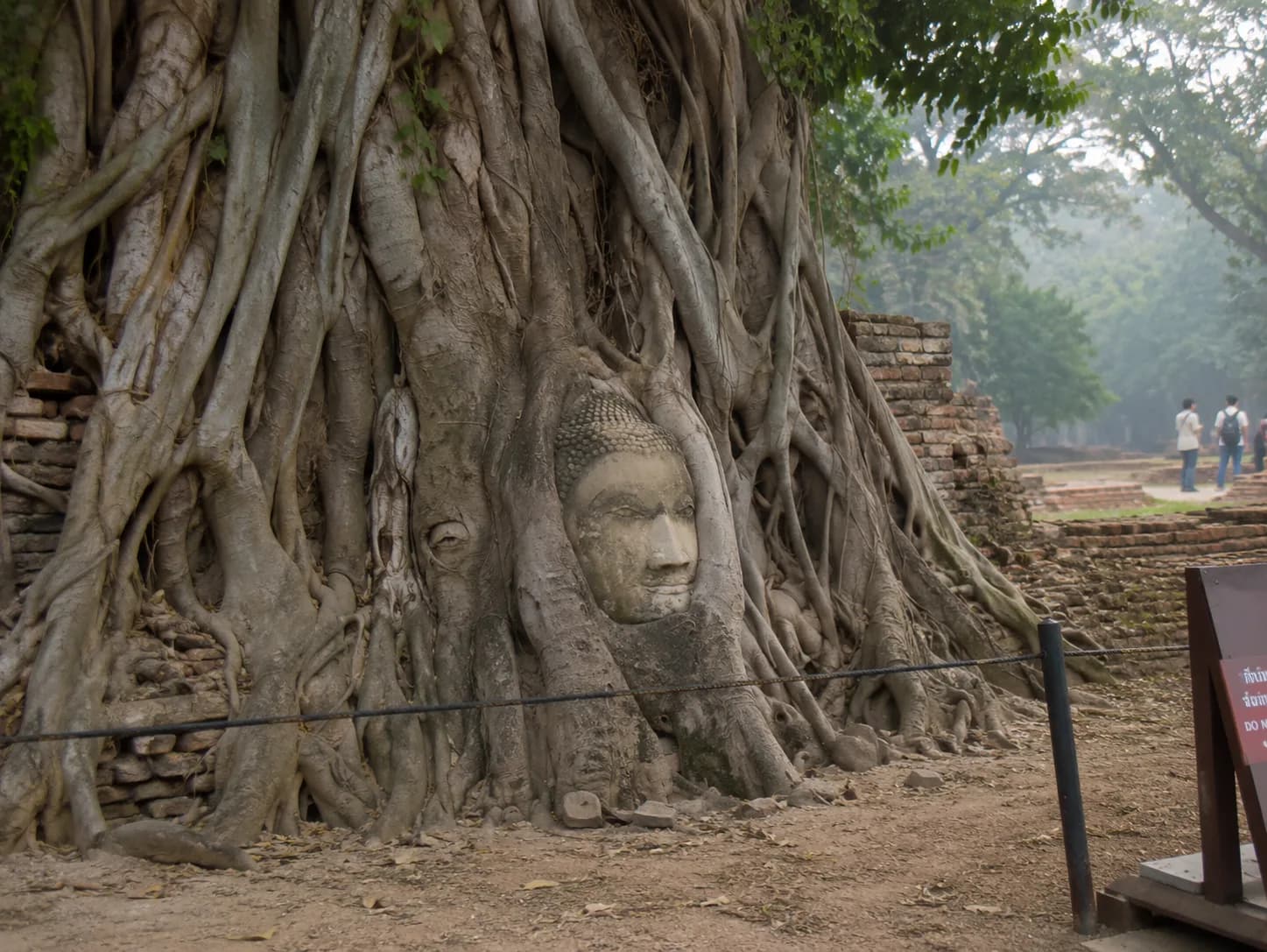 Ayutthaya: The Fallen Capital That Will Stop You in Your Tracks