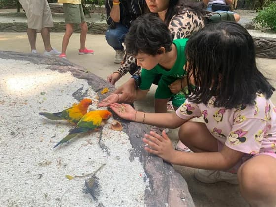 Group enjoying a day trip in Thailand